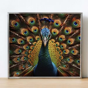 Peacock Stare with Open Wings | Majestic Photography Poster