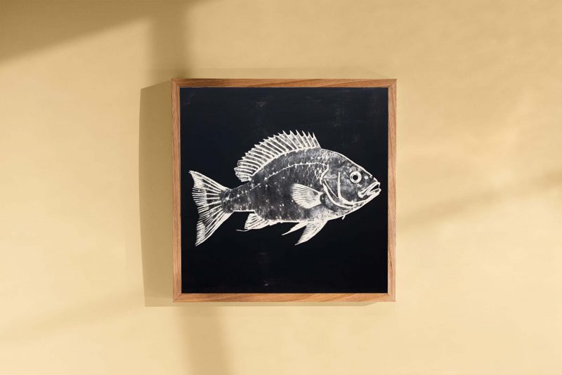 Fish Poster, Ancient Japanese Gyotaku Print, Vintage Fish Poster - Image 3