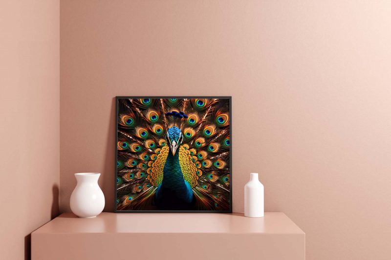 Peacock Stare with Open Wings | Majestic Photography Poster - Image 8