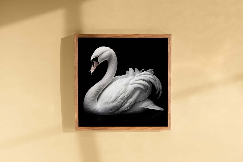 White Swan on Black Poster - Image 3