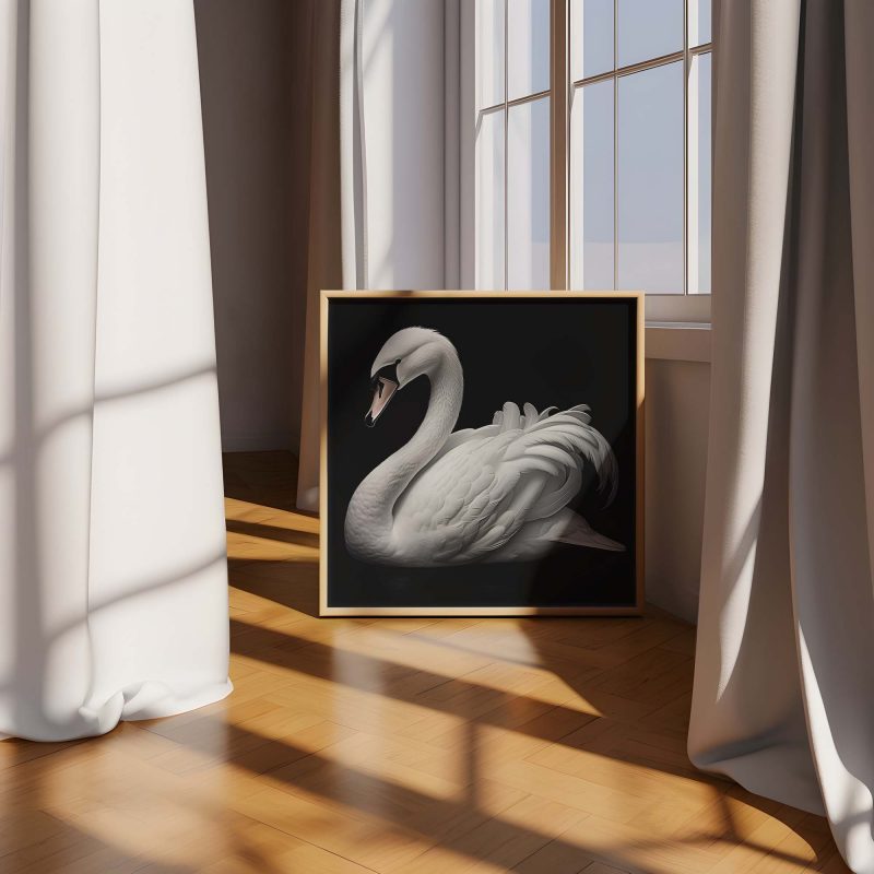 White Swan on Black Poster - Image 4