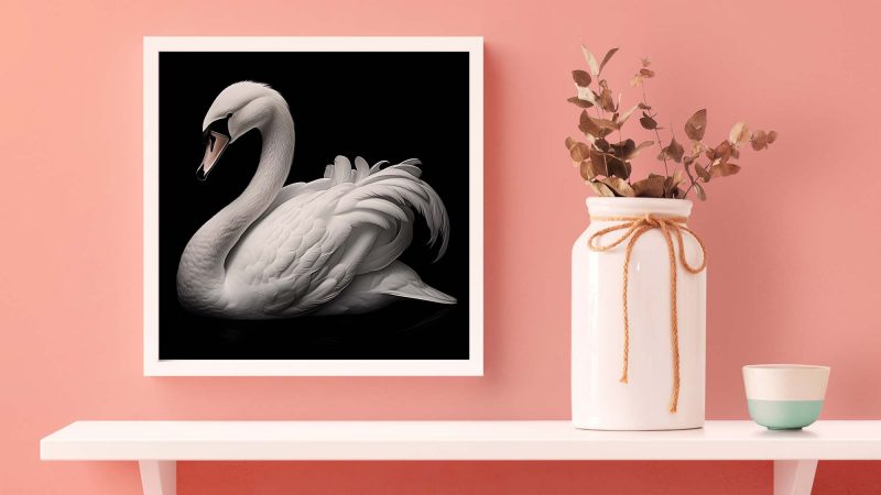 White Swan on Black Poster - Image 6