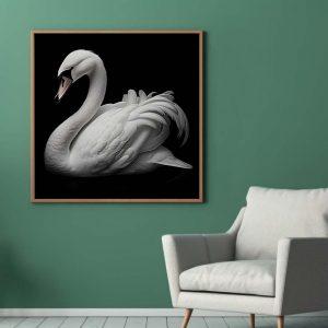 White Swan on Black Poster