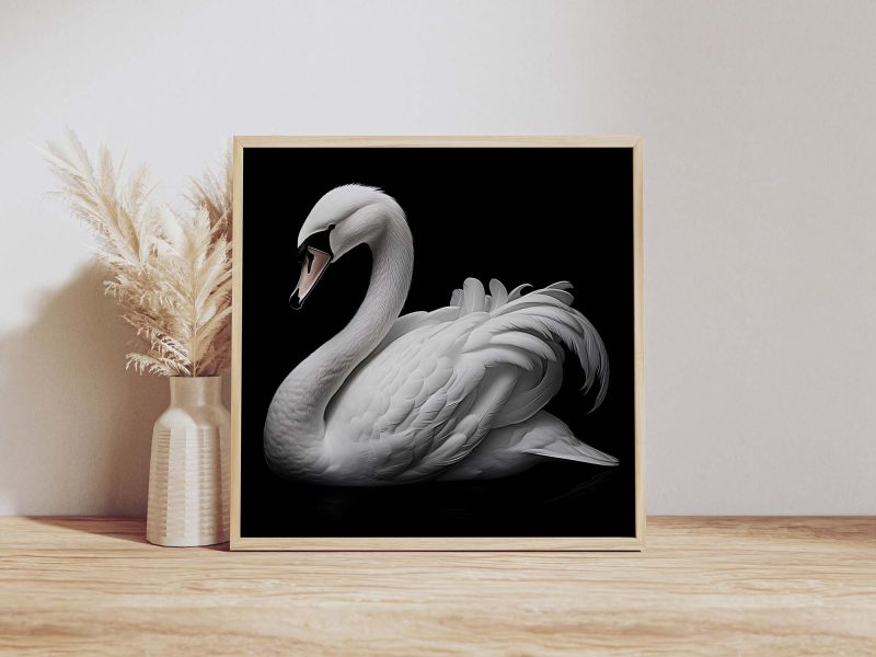 White Swan on Black Poster - Image 9
