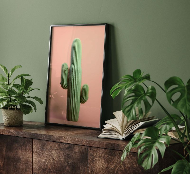 Cactus Apricot - Image 8