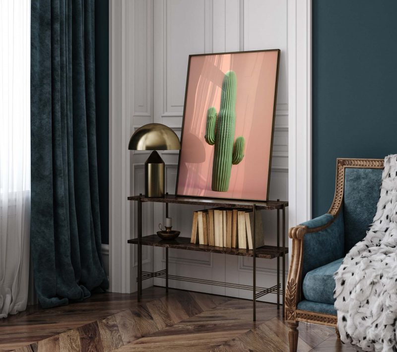 Cactus Apricot - Image 9