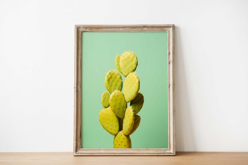 Cactus Green #2 | Cactus Poster - Image 2