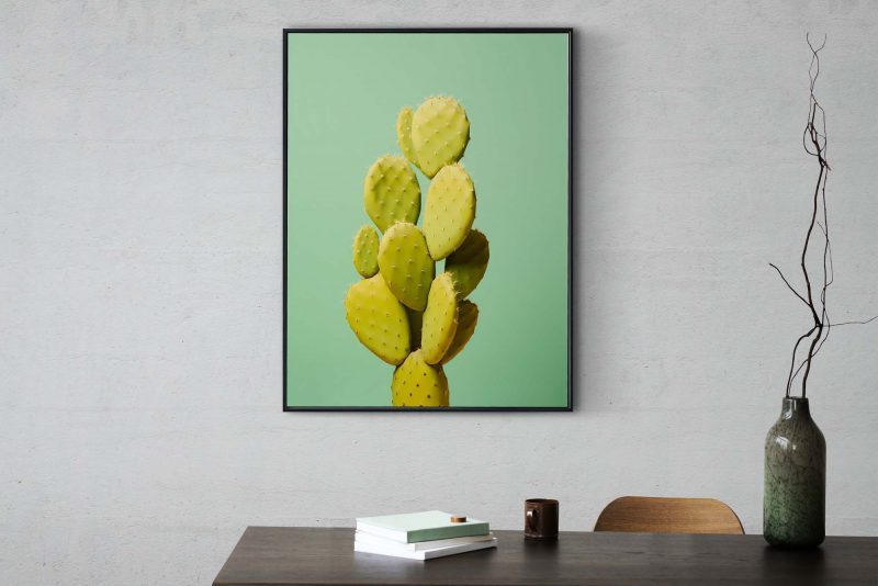 Cactus Green #2 | Cactus Poster - Image 7