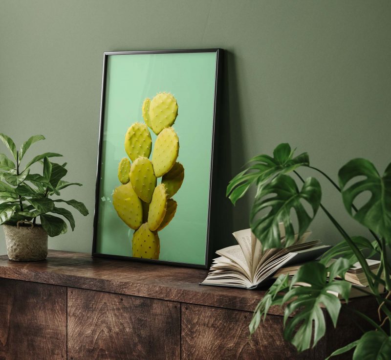 Cactus Green #2 | Cactus Poster