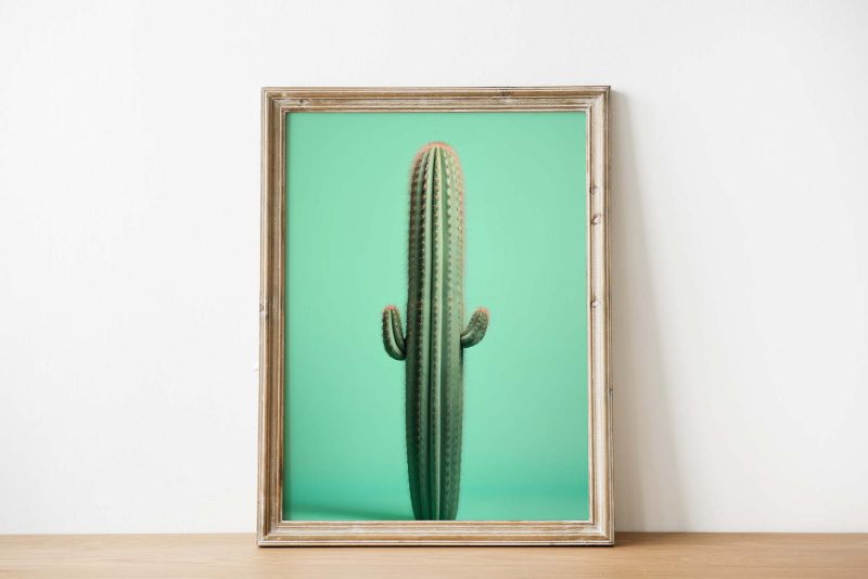 Cactus Green #3 - Image 3
