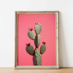 Kaktus Red - Wandkunst für Wohnzimmer Pflanzen Gemälde moderne Kunst