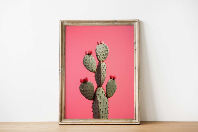 Kaktus Red - Wandkunst für Wohnzimmer Pflanzen Gemälde moderne Kunst