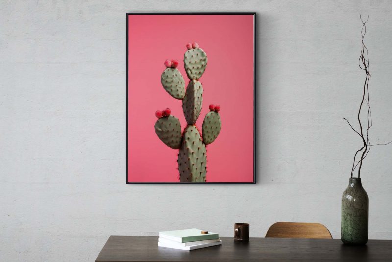 Kaktus Red - Wandkunst für Wohnzimmer Pflanzen Gemälde moderne Kunst - Image 7