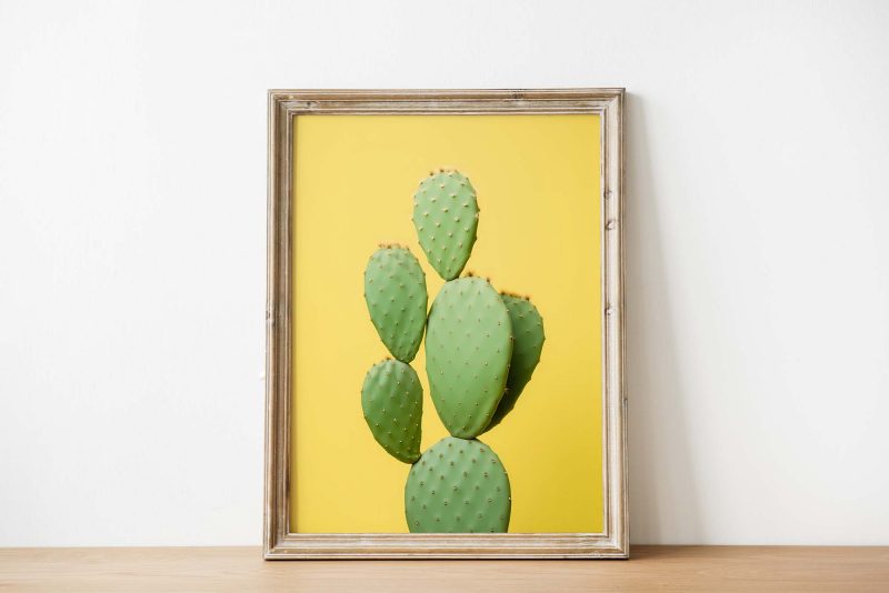 Cactus Yellow #2 - Image 3