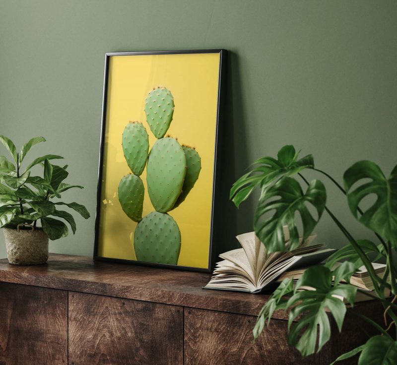 Cactus Yellow #2 - Image 8