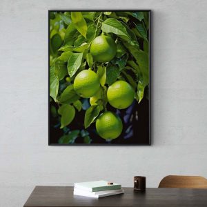 Green Lime Tree - Poster