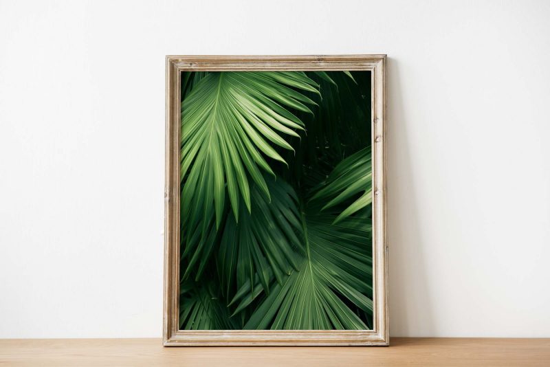 Green Palm Leaves Photo - Image 3
