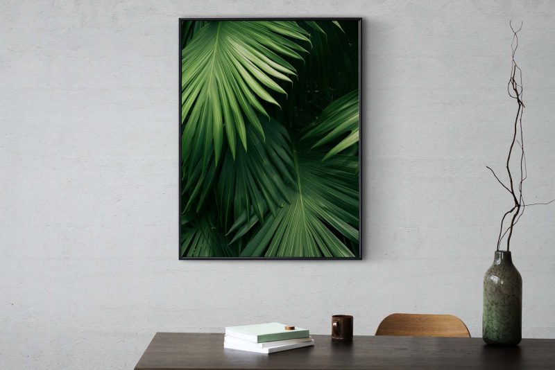 Green Palm Leaves Photo - Image 7