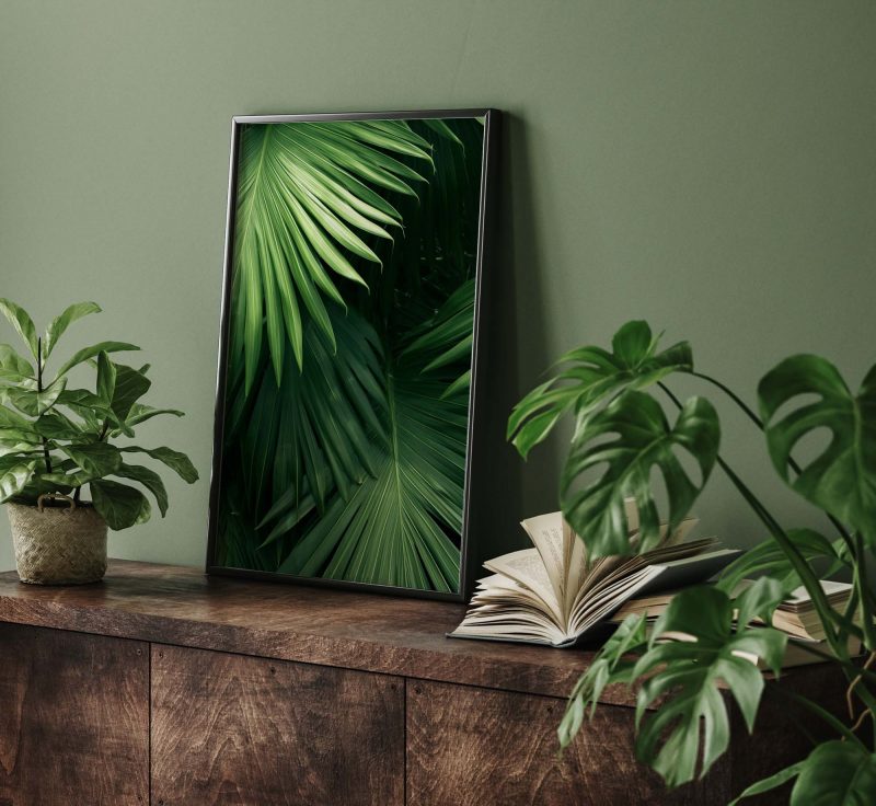 Green Palm Leaves Photo - Image 8