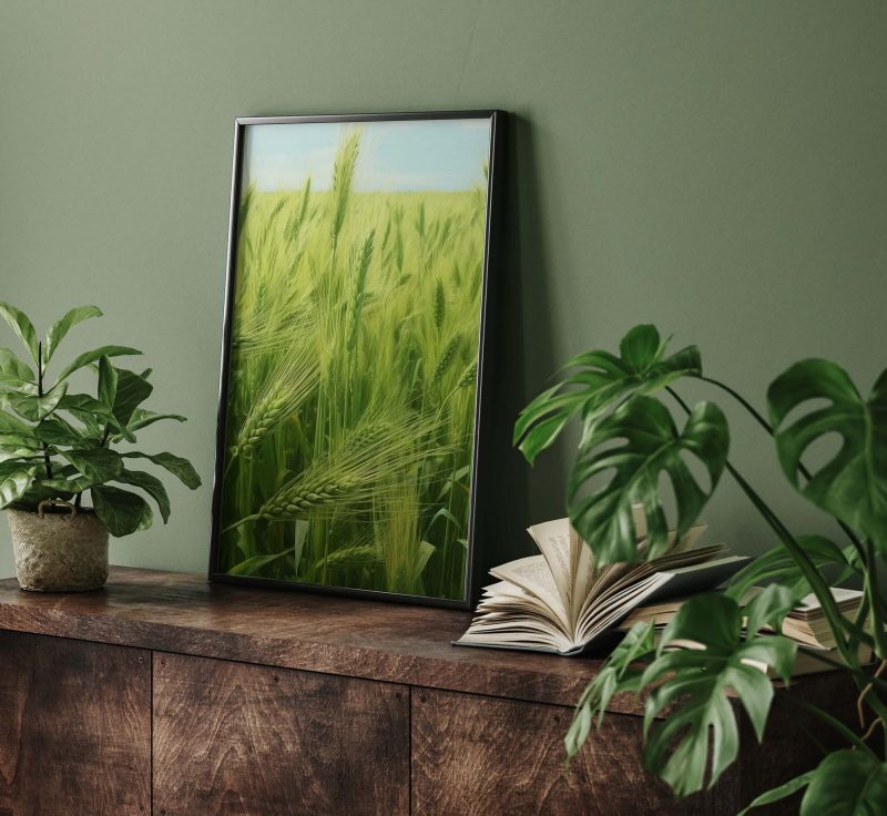 Green Wheat - Image 8