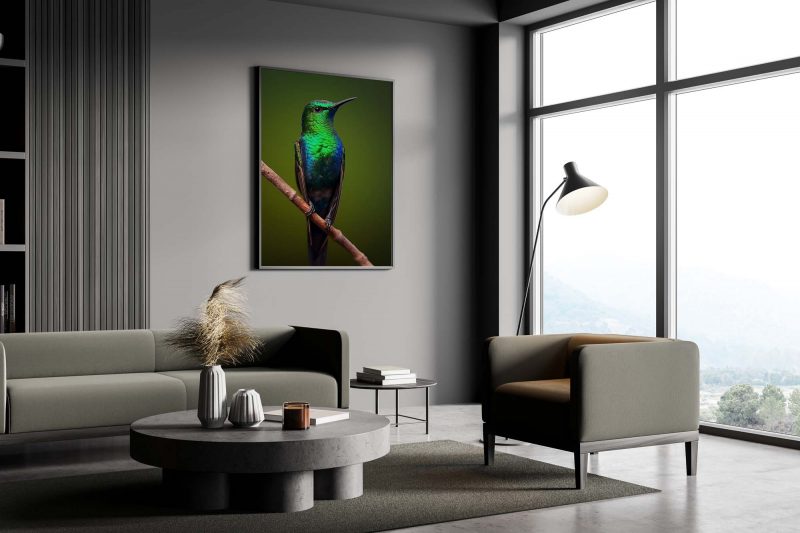 Shimmering Bird | Photography Poster - Image 3