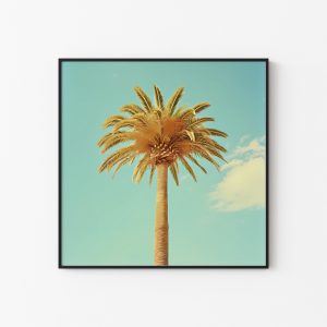 Palm Tree in Pastel Poster | Wes Anderson Style Canvas | Miami Summer Poster