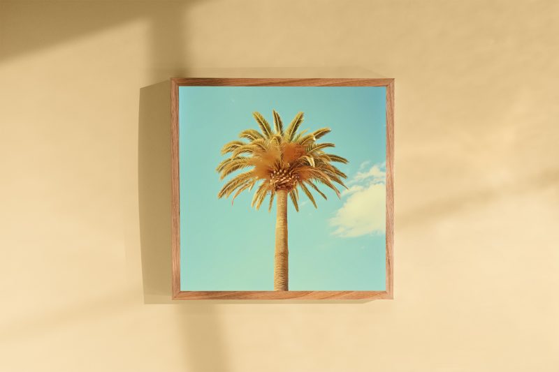Palm Tree in Pastel Poster | Wes Anderson Style Canvas | Miami Summer Poster - Image 3
