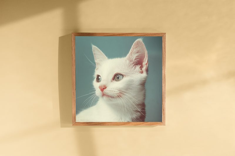 Cute Kitten Retro Photography Poster | Museum Quality Photo Print | Black White Photo - Image 10