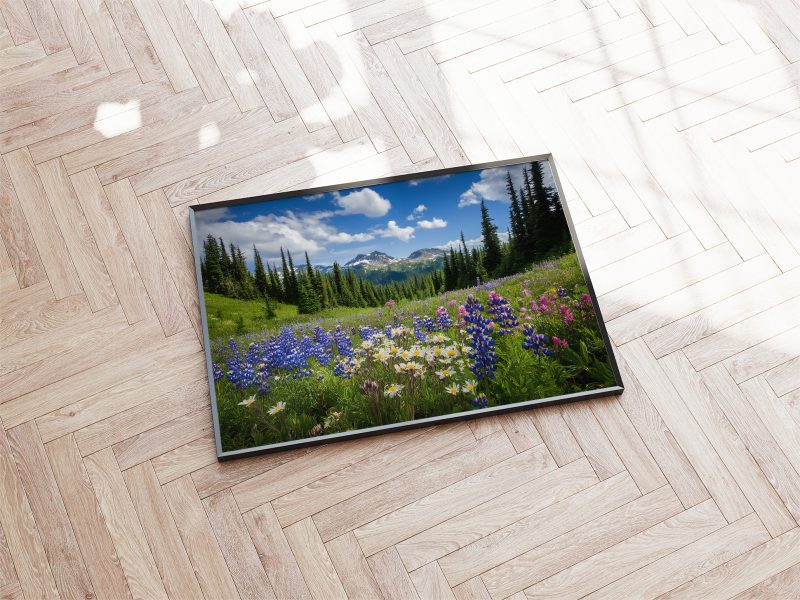 Mountain Wildflowers Digital Poster • Photography Wall Art Download • Printable Nature Scene for Rustic & Neutral Home Decor - Image 4