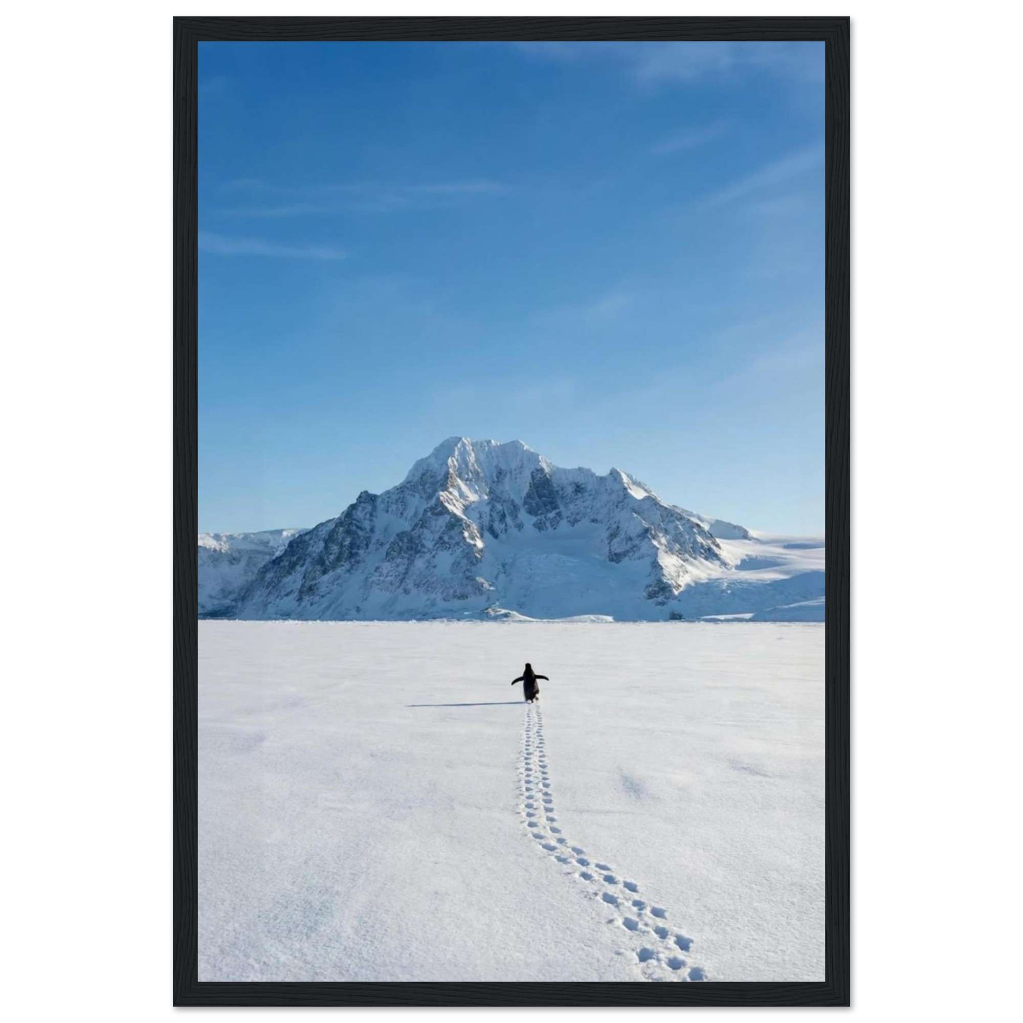 34519579-f586-460c-898d-76bb9c797055