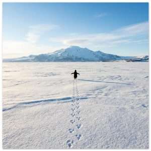 60c51e1e-fe22-4fe2-b6fb-06a714206d1e