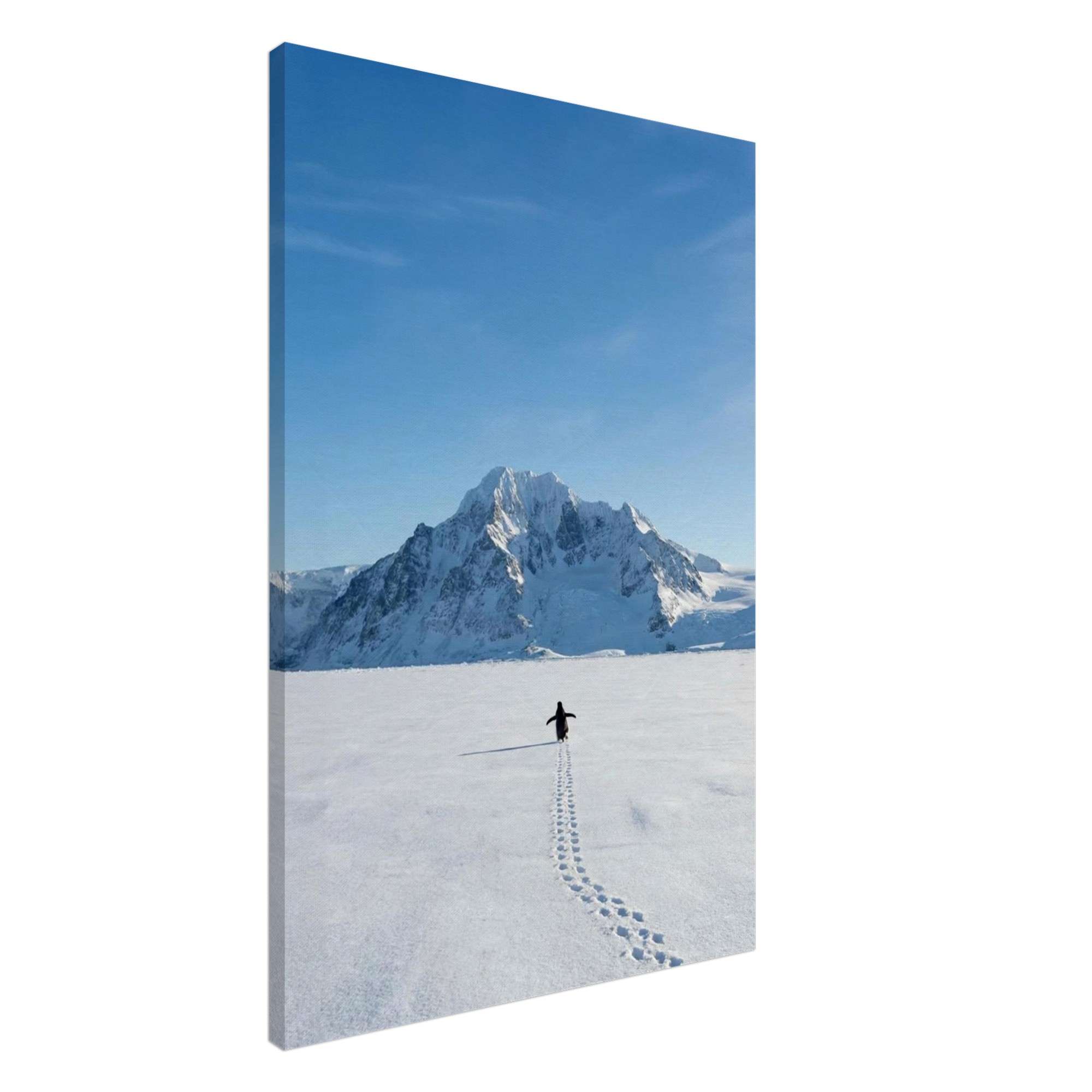 9fba9c14-16eb-4fc3-9468-8c81713e562e