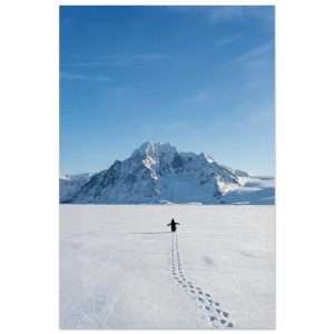 b8915d92-0055-4b78-bb2d-3269f0659ec0