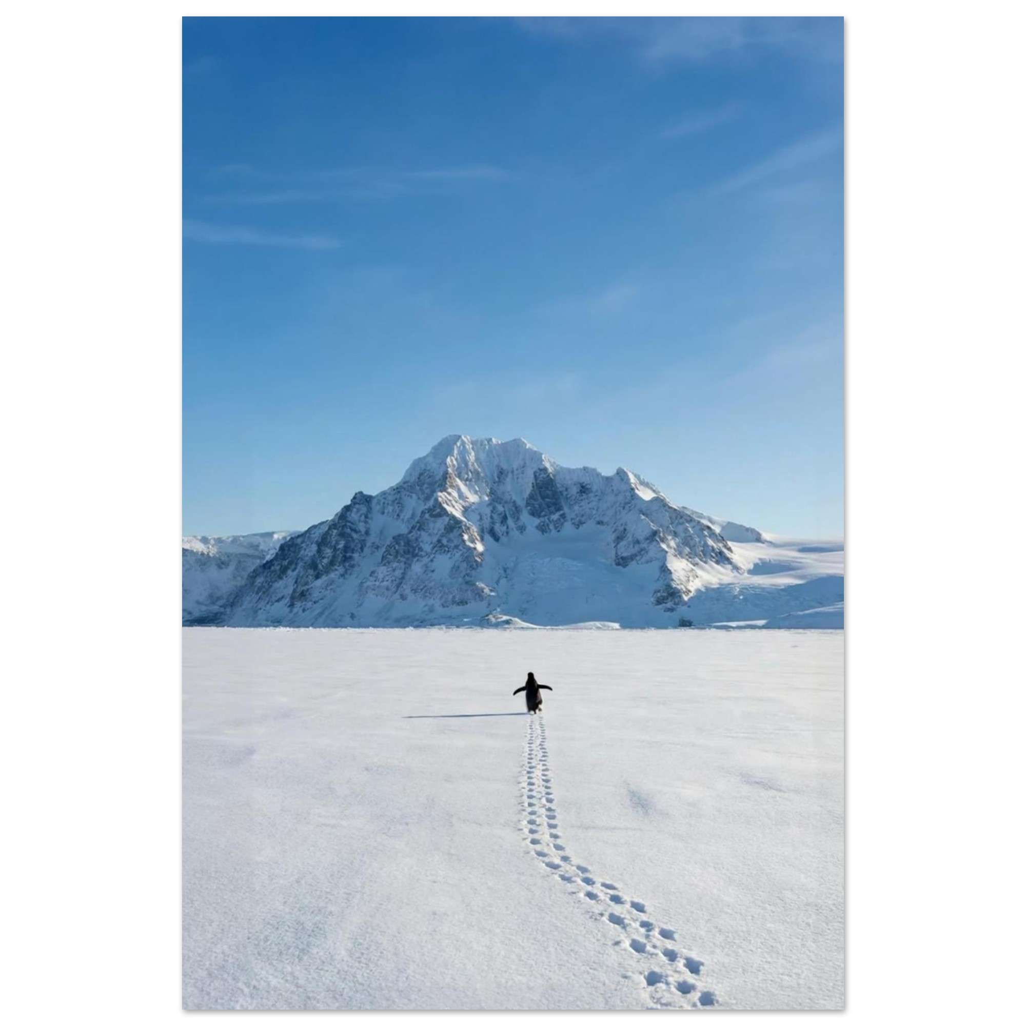 b8915d92-0055-4b78-bb2d-3269f0659ec0